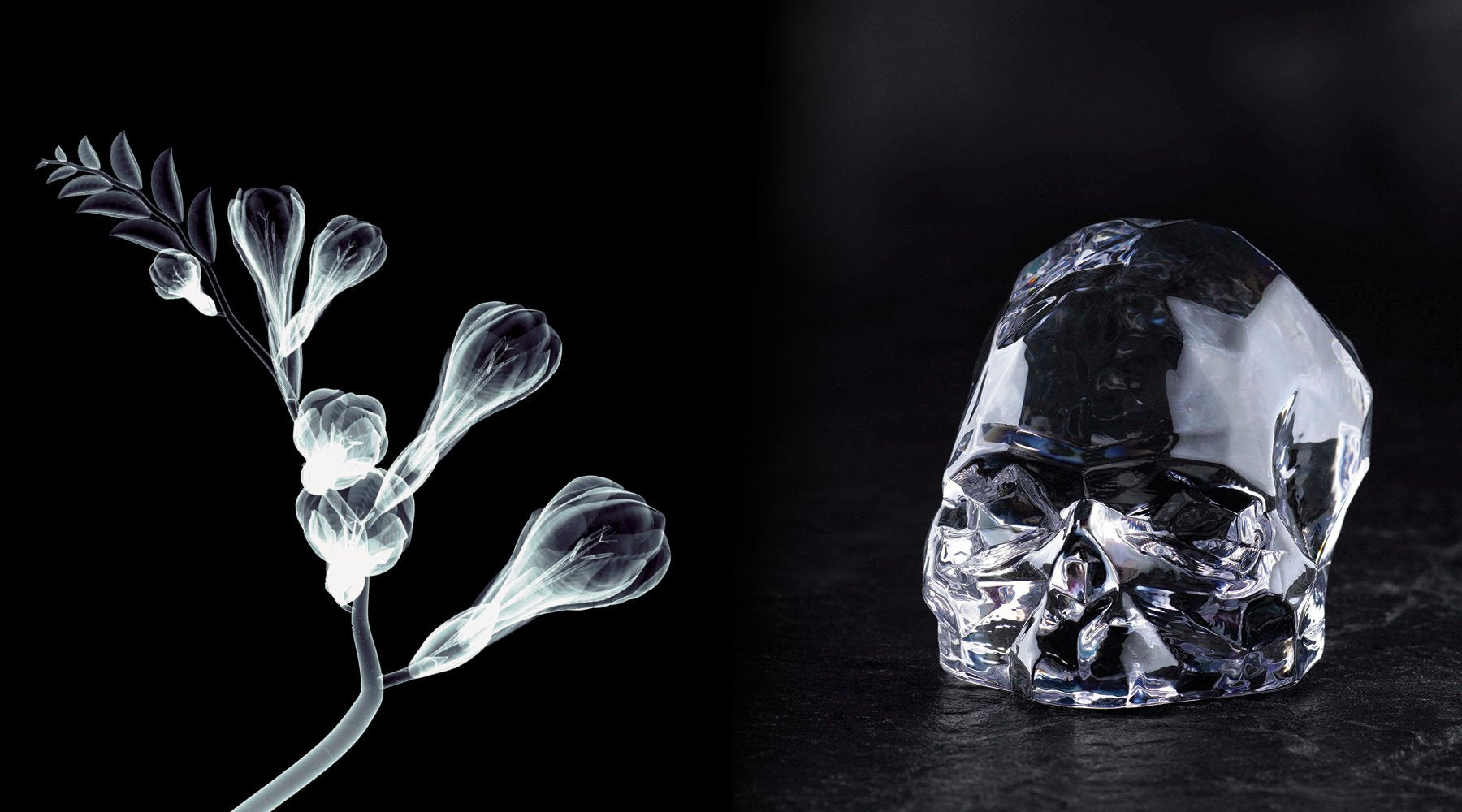 Memento Mori - an Iconic Collection