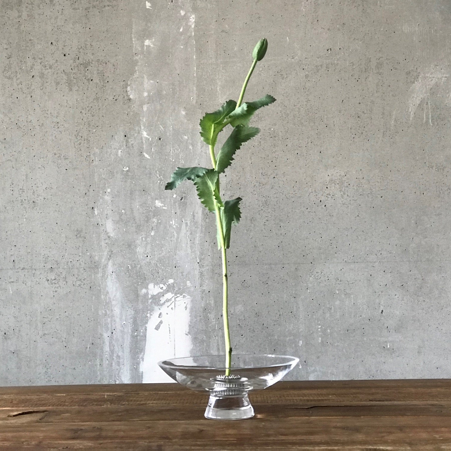 Silhouette Bowl Large