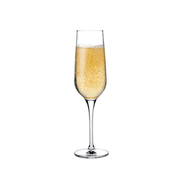 Refine Set of 2 Champagne Glasses