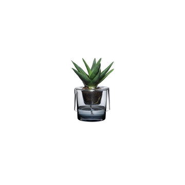 Roots Herb Pot Clear Top