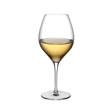 Vinifera Set of 2 White Wine Glasses 600 cc